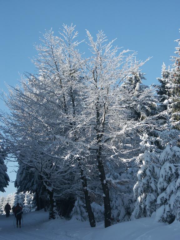 Haus Hinzberg Lejlighed Oberhof  Værelse billede